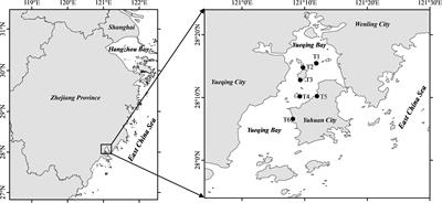 Evaluation of the stock enhancement effect of Phascolosoma esculenta on macrobenthic communities using diversity and biotic indices in Yueqing Bay, East China Sea